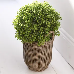 Bloom Artificial Medium Boxwood Ball Topiary in Nursery Pot - Faux Fake Realistic Green Plant - Measures H45cm x 30cm Diameter