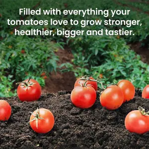 Hardys 56L Tomato Planter Grow Bag - Nutrient Enriched Peat Free Compost, Up to 8 Week Feed, Deep Fill, High Yield & Flavourful