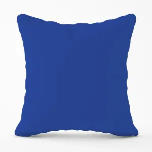 Royal Blue Outdoor Cushion 45cm x 45cm