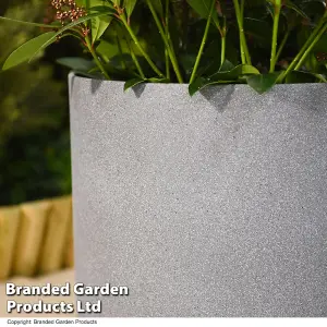 Small Grey Cylinder Stone Effect Planter Outdoor Garden Plastic 26cm (x1)