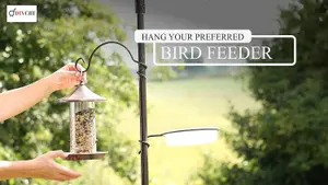 DIVCHI Bird Feeder With 2 Dishes, Bird Feeders Hanging Station, Bird Feeder Pole, Bird Feeding Station