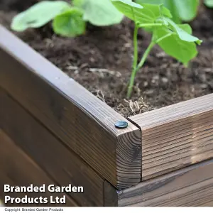 Wooden Raised Garden Planter Treated Fir Wood Outdoor Flower Trough Herb Vegetable Bed Bottomless  (2 x Small 60x60cm)