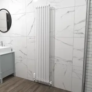 Nes Home 1800 X 380 mm Double Column White Traditional Radiator