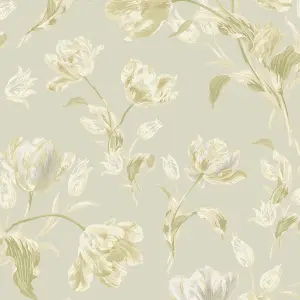 Laura Ashley Sage Gosford Smooth Wallpaper