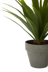 Fiori Agave Succulent Artificial Plant Foliage