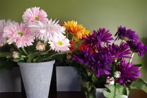 33cm Artificial Potted Daisy White