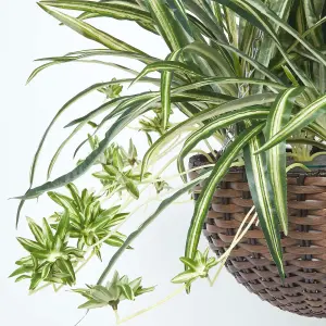 Homescapes Artificial Hanging Basket Spider Plant, 60 cm