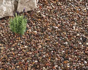 Kelkay Caledonian Pebbles 14-20mm Premium Aggregates Pebbles Bulk Bag 750kg