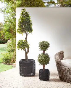 Set of 2 Plant Pots BRODIEA PE Rattan Black