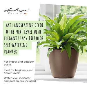 LECHUZA CLASSICO Color 21 Slate Table Self-watering Planter with Substrate and Water Level Indicator D21 H20 cm, 5L