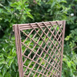 Set of 3 Willow Trellis Framed Panel (120cm x 45cm)