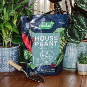 Westland Peat-free Houseplant Compost 4L