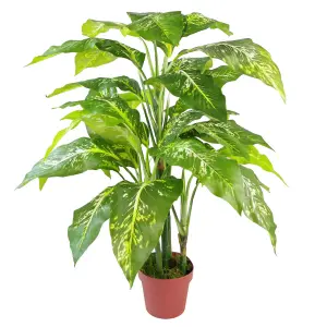 100cm Large Fox's Aglaonema (Spotted Evergreen) Tree Artificial Plant