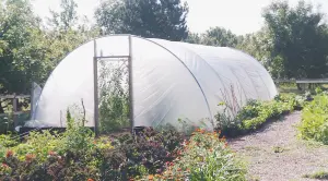 18ft x 60ft Large Commercial Heavy Duty Polytunnel Kit - Professional Greenhouse