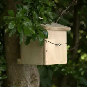 Dormouse Nest box - Plywood - L15 x W13 x H21 cm