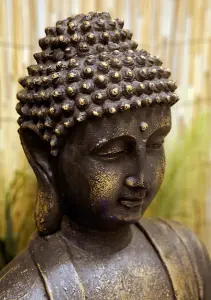 Primrose Blossoming Buddha Water Feature with Lights 57cm