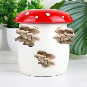 Mushroom Grow Planter Starter Kit