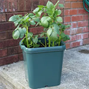 Potato Gro-Pot Patio Vegetable Patio Planter - Pack of 3