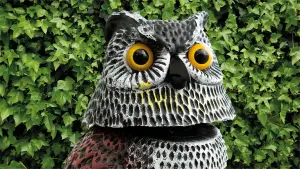 Garden Outdoor Life Sized Bird Cat Small Animal Mammal Scaring Device Deterant