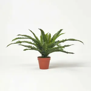 Homescapes Boston Fern in Pot, 45 cm Tall