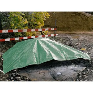 3 x 4 m Tarpaulin Waterproof Heavy Duty Cover Ground Sheet Camping with 4 Tarp Clips + 10m / 30ft Bungee Cord (Green - 90GSM)