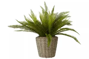 Fiori Boston Fern Succulent Artificial Plant Foliage