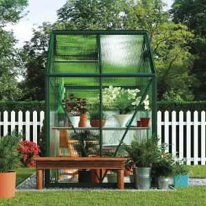 Polycarbonate Greenhouse Large Walk-in Garden Growhouse, Sliding Door & Twin Wall Panels with Steel Base 6x4 ft (Green)