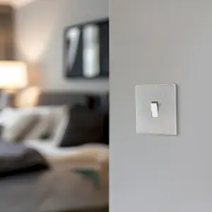 BG Evolve 20A Single Wall Light Switch, 2 Way, Screwless Brushed Steel