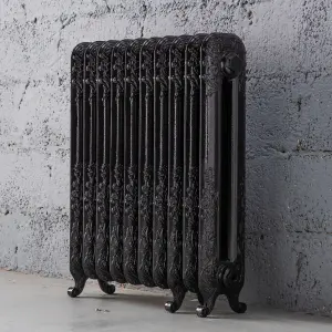 Arroll Daisy Cast iron Black 10 Column Radiator, (W)684mm x (H)794mm