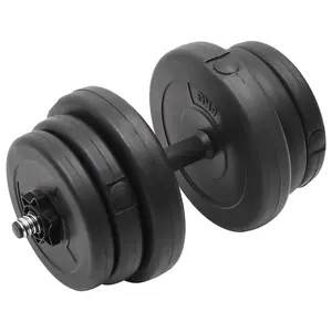 Dumbbell with Plates Fitness Gym Essential 40 kg