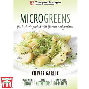 Microgreens Chives Garlic 1 Seed Packet (200 Seeds)