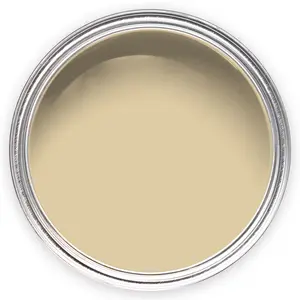 Annie Sloan Wall Paint 120ml Old Ochre