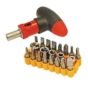 22 Piece T Handle Screwdriver Set 5 Sockets 4mm 10mm 16 Assorted Bits