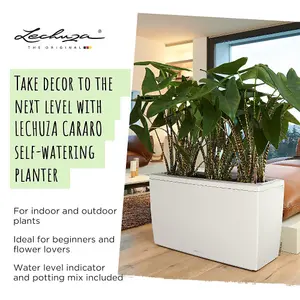 LECHUZA CARARO 75 Black High-Gloss Self-watering Planter with Substrate and Water Level Indicator H43 L75 W30 cm, 97L