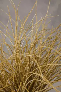 Fiori Grass Plant Artificial Plant Foliage