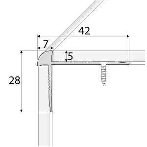 C29 42 x 28mm Anodised Aluminium LVT Stair nosing Edge Profile For 5mm Flooring - Champagne, 0.9m