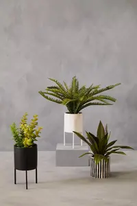 Fiori Fern with White Cement and Iron Pot Artificial Plant Foliage