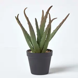 Homescapes Aloe Vera Artificial Succulent in Black Pot, 30 cm Tall