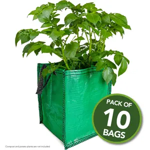 10 Potato Planter Bags suitable for growing all Vegetables all year round 18"x12"x12" - By Jamieson Brothers