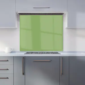 Thyme Green Premium Glass Kitchen Splashback W700mm x H750mm