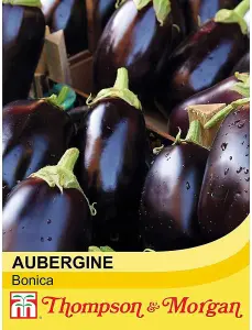 Aubergine Bonica F1 Hybrid 1 Seed Packet (13 Seeds)