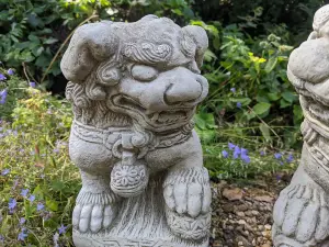 Pair of Medium Chinese Foo Dogs statues