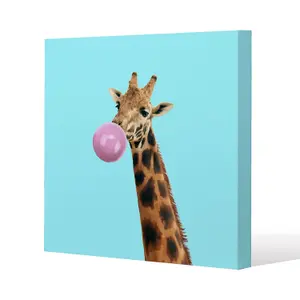 bubble gum on color background (Canvas Print) / 114 x 114 x 4cm