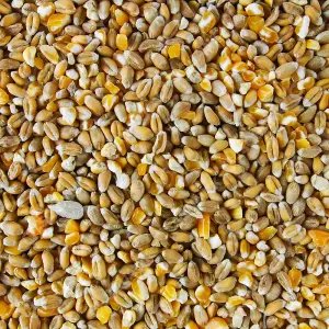 1L SQUAWK Mixed Poultry Corn - Nutritious Protein Rich Food For Chicken Geese Duck