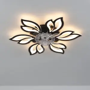 Armentha 65cm Ceiling Fan with LED Lights Black