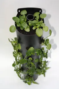 Wall Mounted Flower Tower Hold 14 Plants