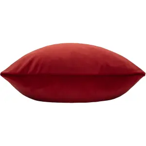 Paoletti Sunningdale Velvet Feather Rich Cushion