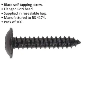 100 Pack of 4.8 x 25mm Black Self Tapping Screws with Flanged Pozi Head