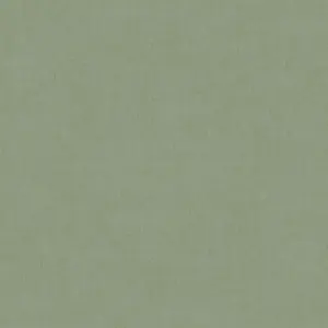 Grandeco Varadero Plain Plaster effect Blown Vinyl Wallpaper, Green