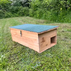 Wooden Hedgehog Feeding Station House